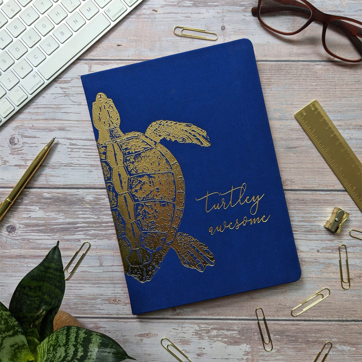 RK Premium B5 Lined Notebook Journal - Turtley Awesome Turtle Design