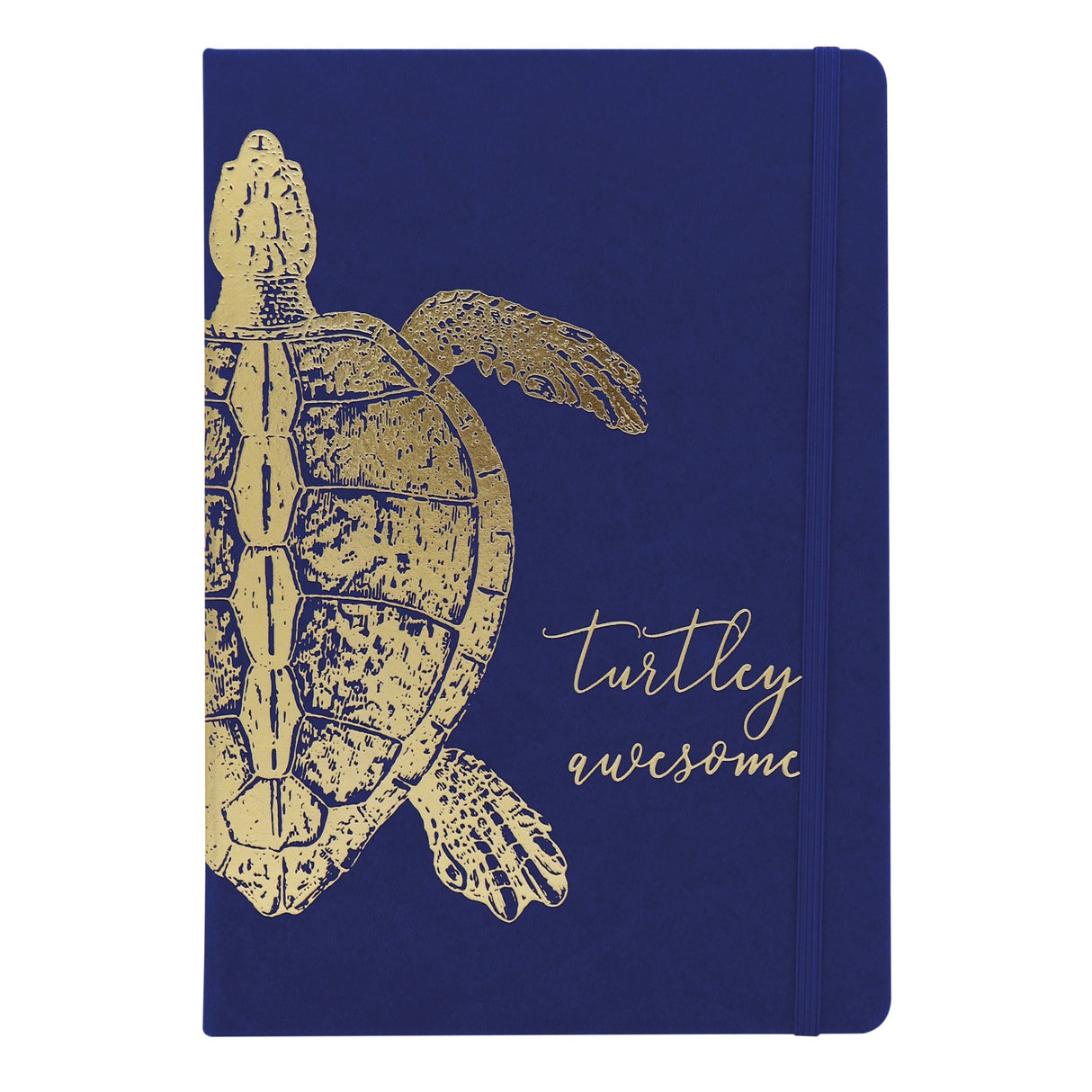 RK Premium B5 Lined Notebook Journal - Turtley Awesome Turtle Design
