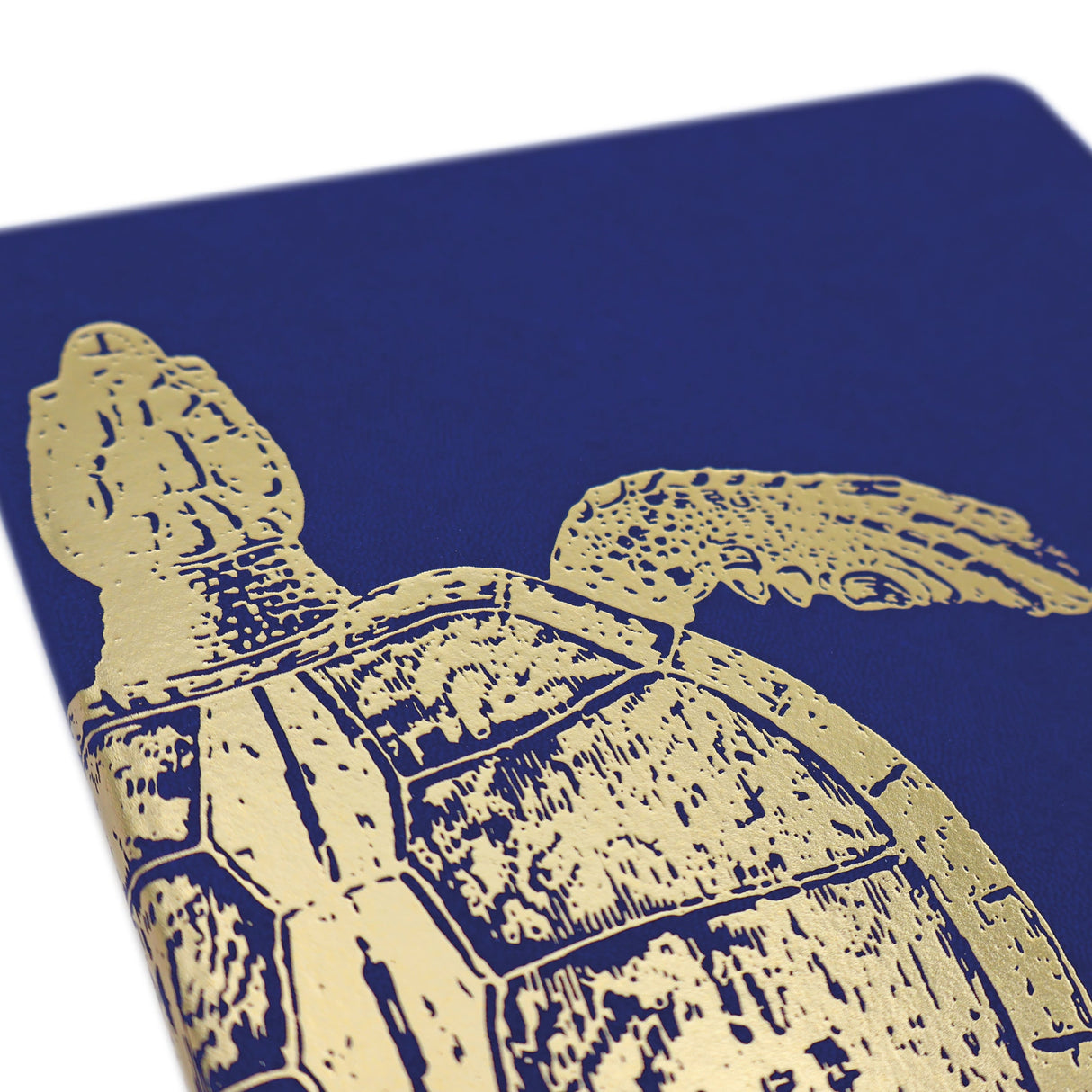 RK Premium B5 Lined Notebook Journal - Turtley Awesome Turtle Design