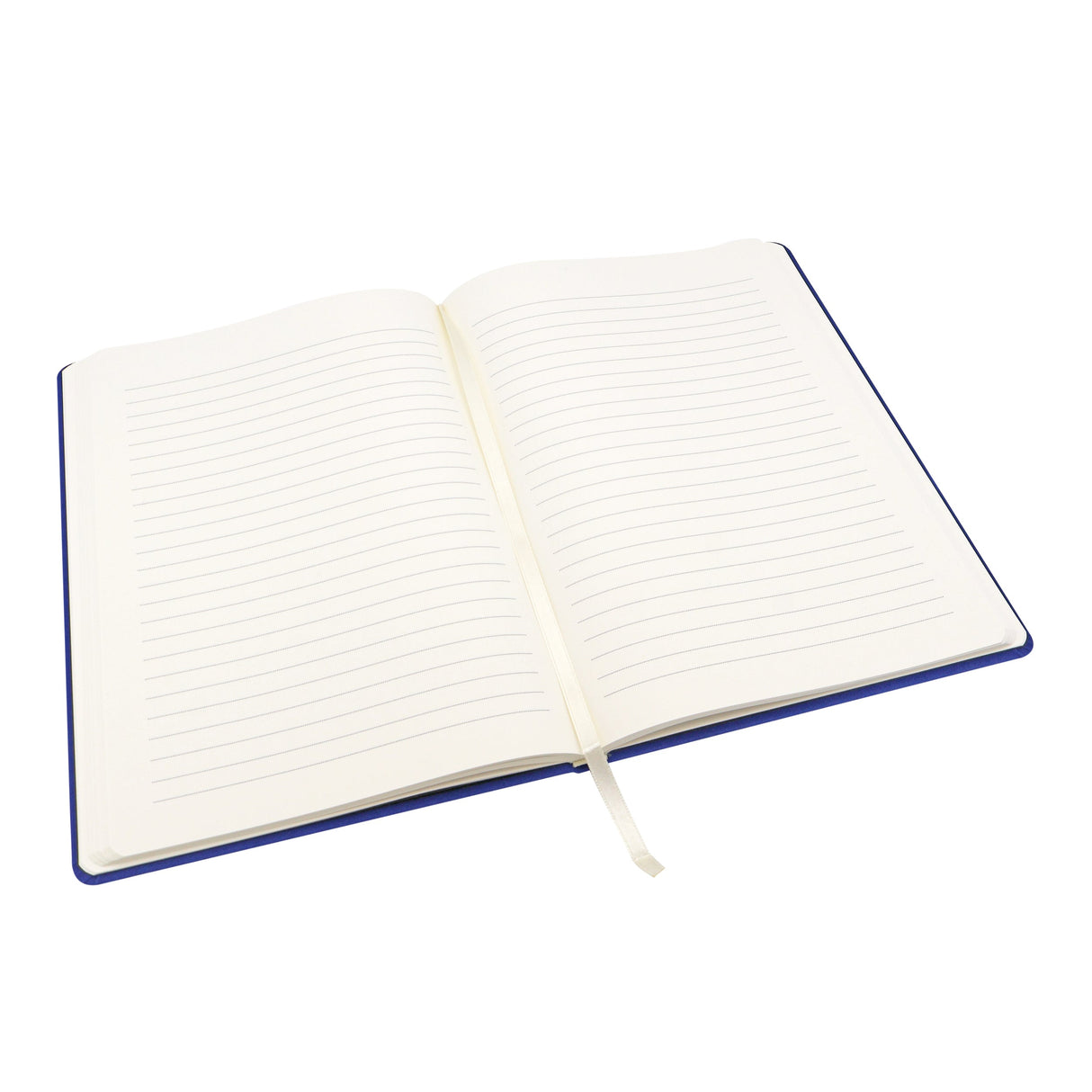 RK Premium B5 Lined Notebook Journal - Turtley Awesome Turtle Design