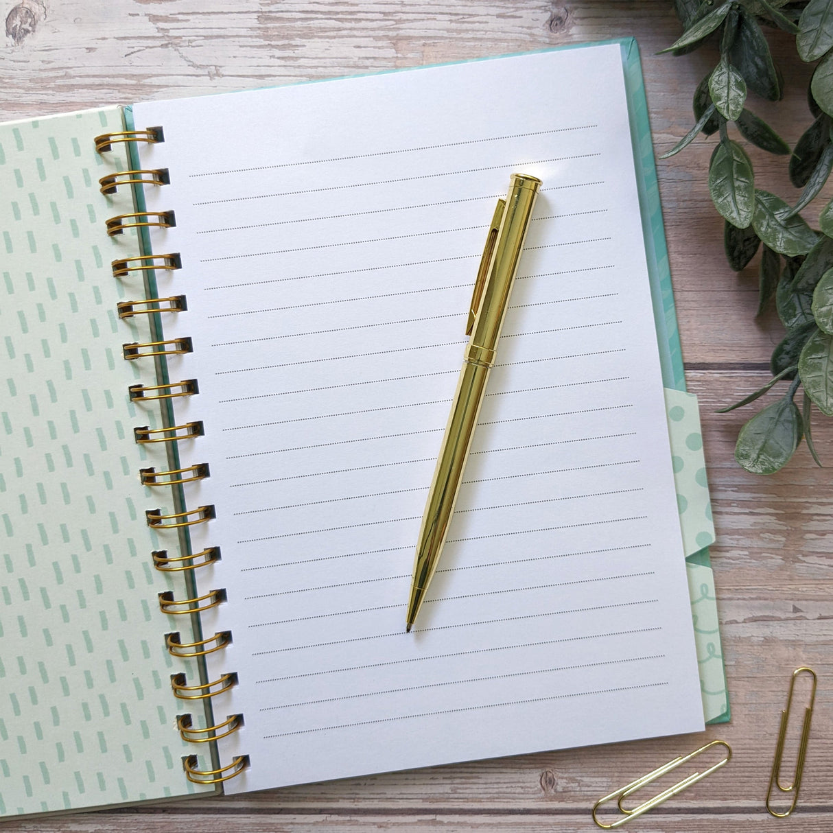 Peacock Feathers A5 Notebook With Dividers