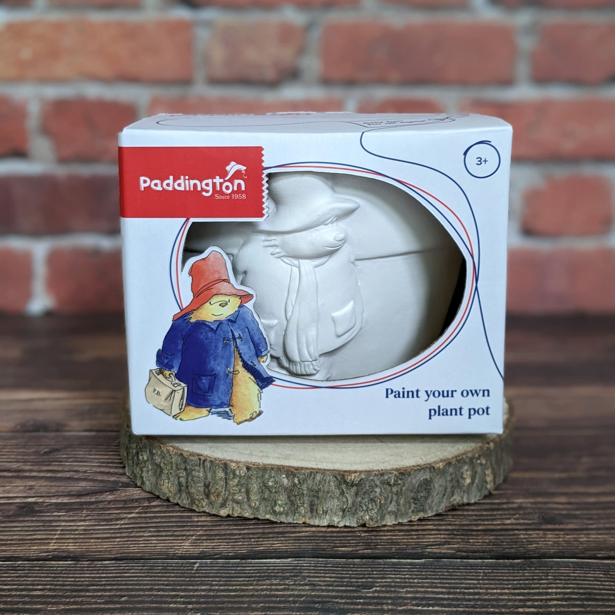 Paddington Paint Your Own Plant Pot