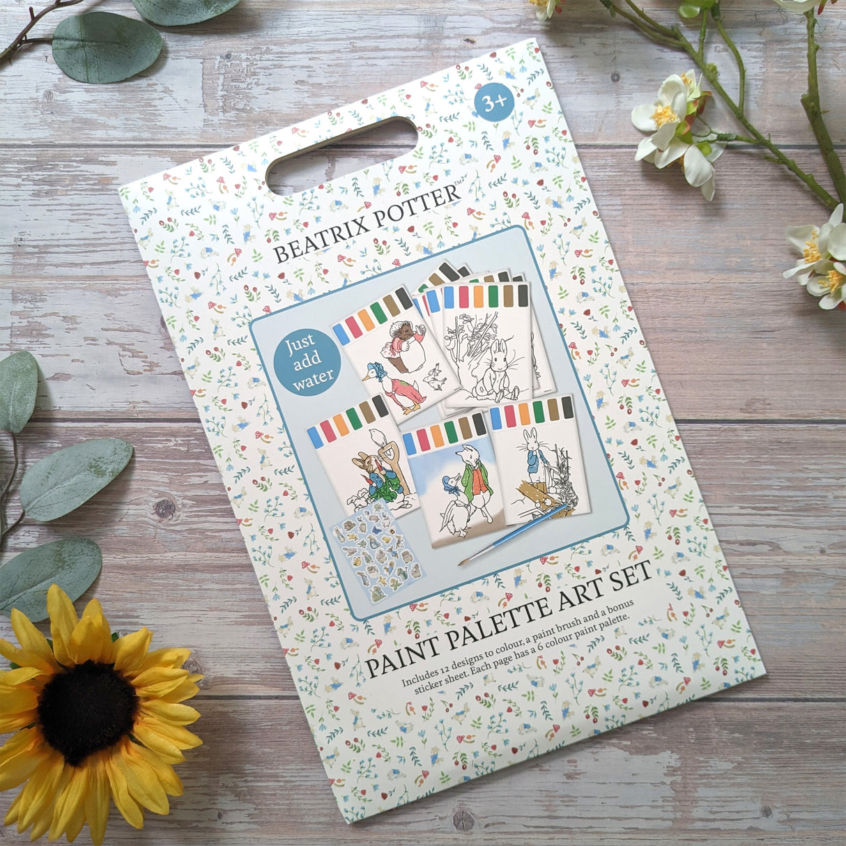 Beatrix Potter Paint Palette Art Set