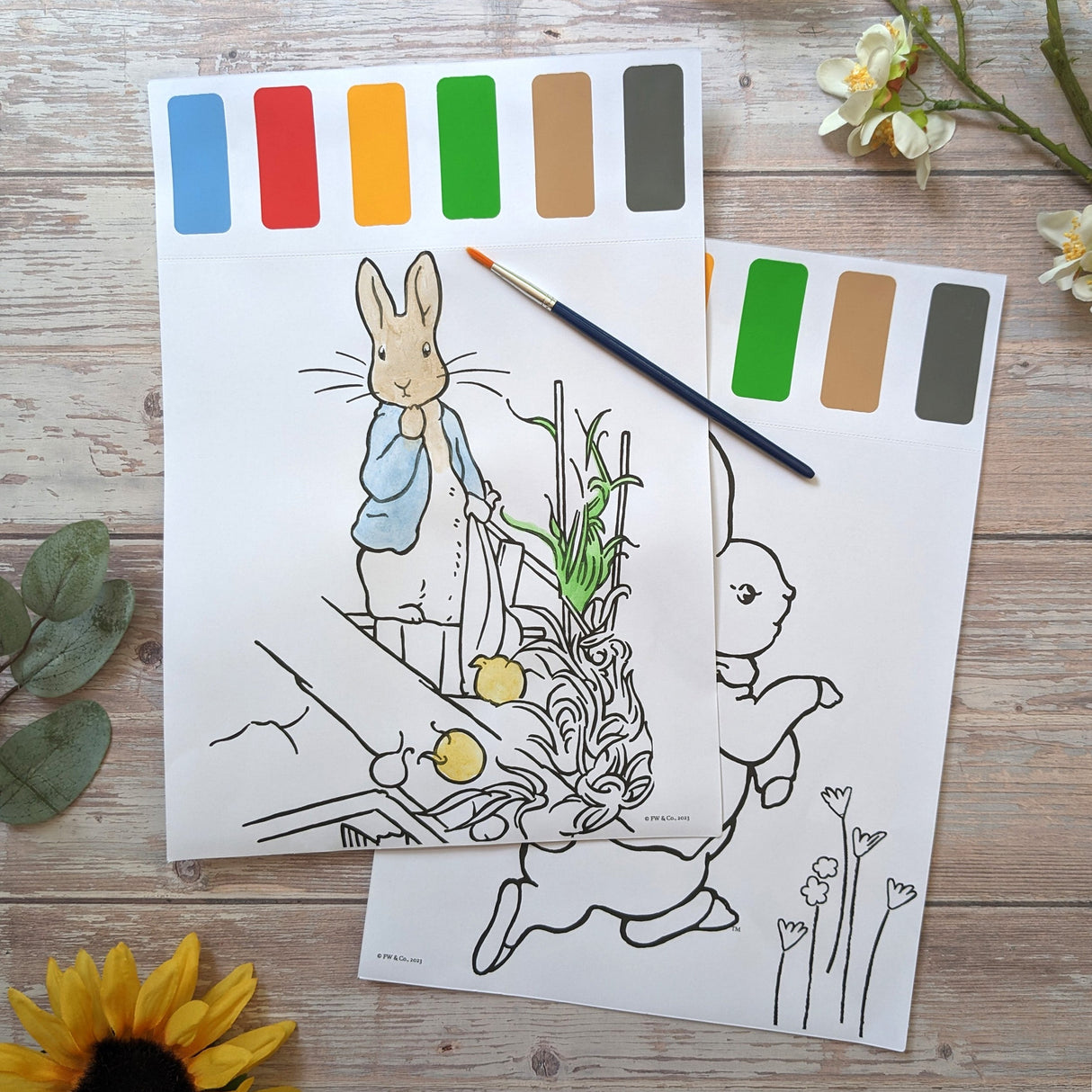 Beatrix Potter Paint Palette Art Set