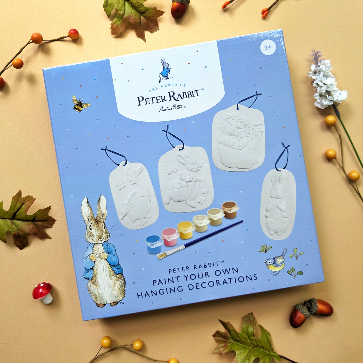 Peter Rabbit Paint Your Own Hanging Decorations