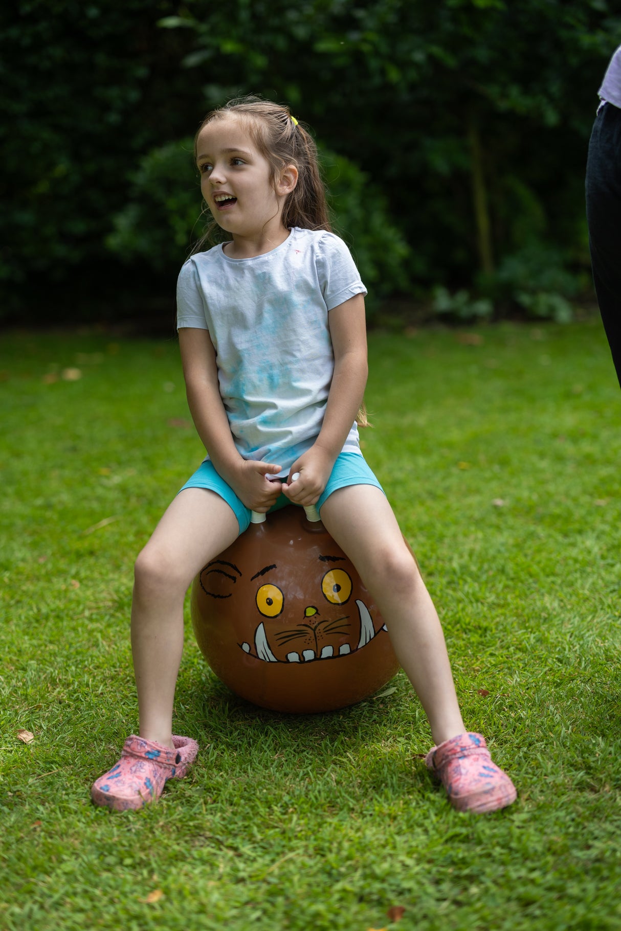 The Gruffalo Kids Space Hopper
