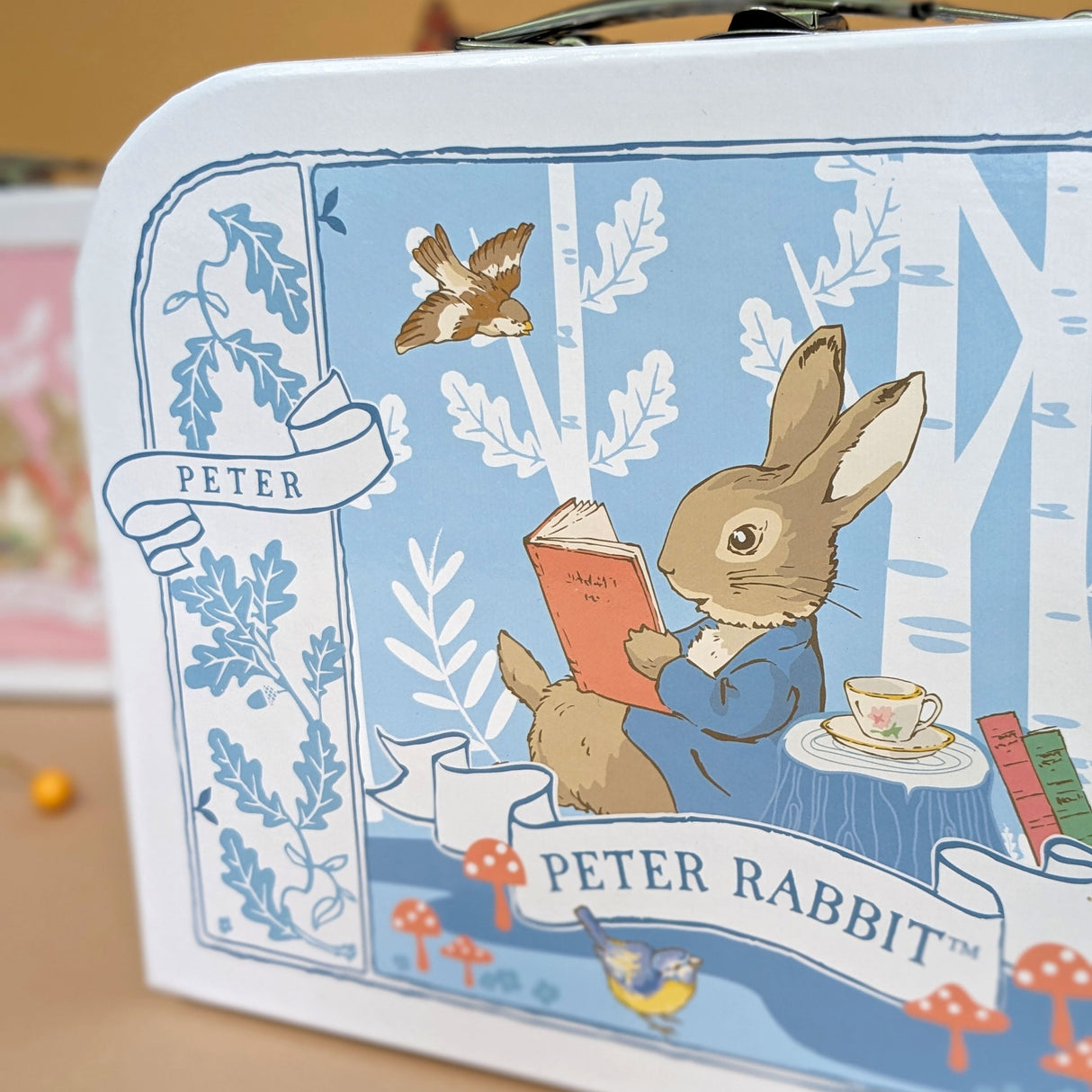 Beatrix Potter Children's Triple Carry Case Set - 3 Sizes