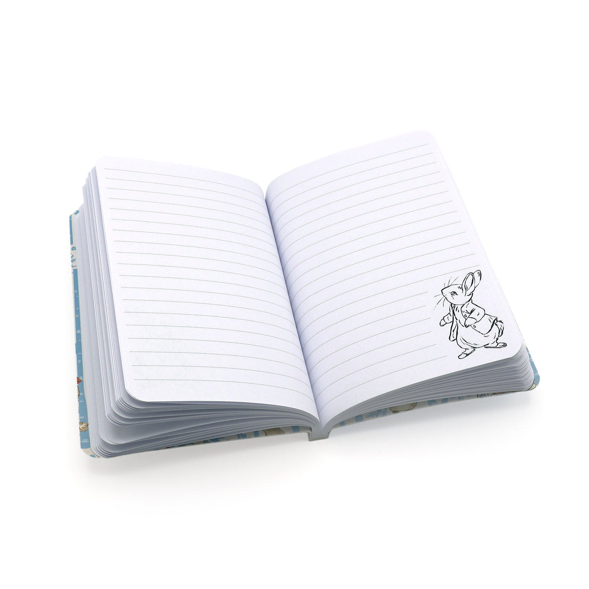 Peter Rabbit Notebook – A6 Forest Picnic Design