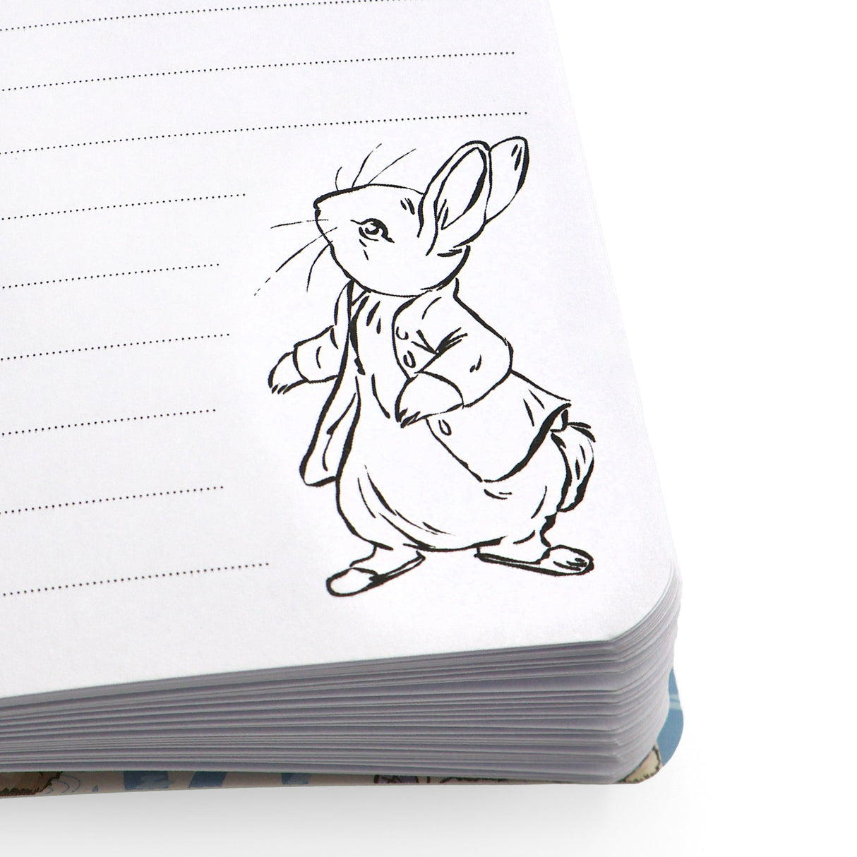 Peter Rabbit Notebook – A6 Forest Picnic Design