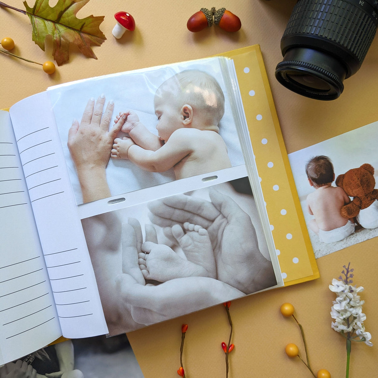 Jemima Puddle-Duck Photo Album - Forest Picnic