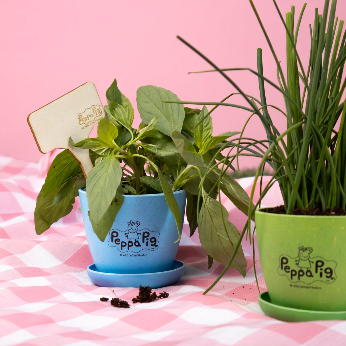 Peppa Pig Plant Growing Kit