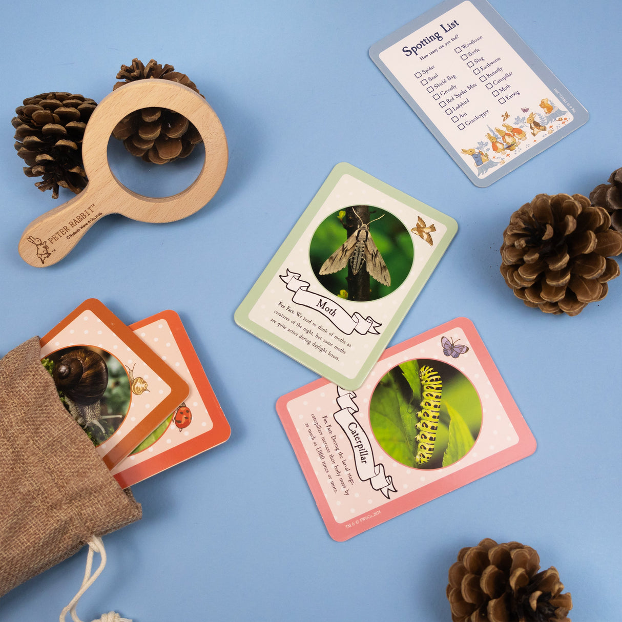 Peter Rabbit Bug Spotter Activity Set