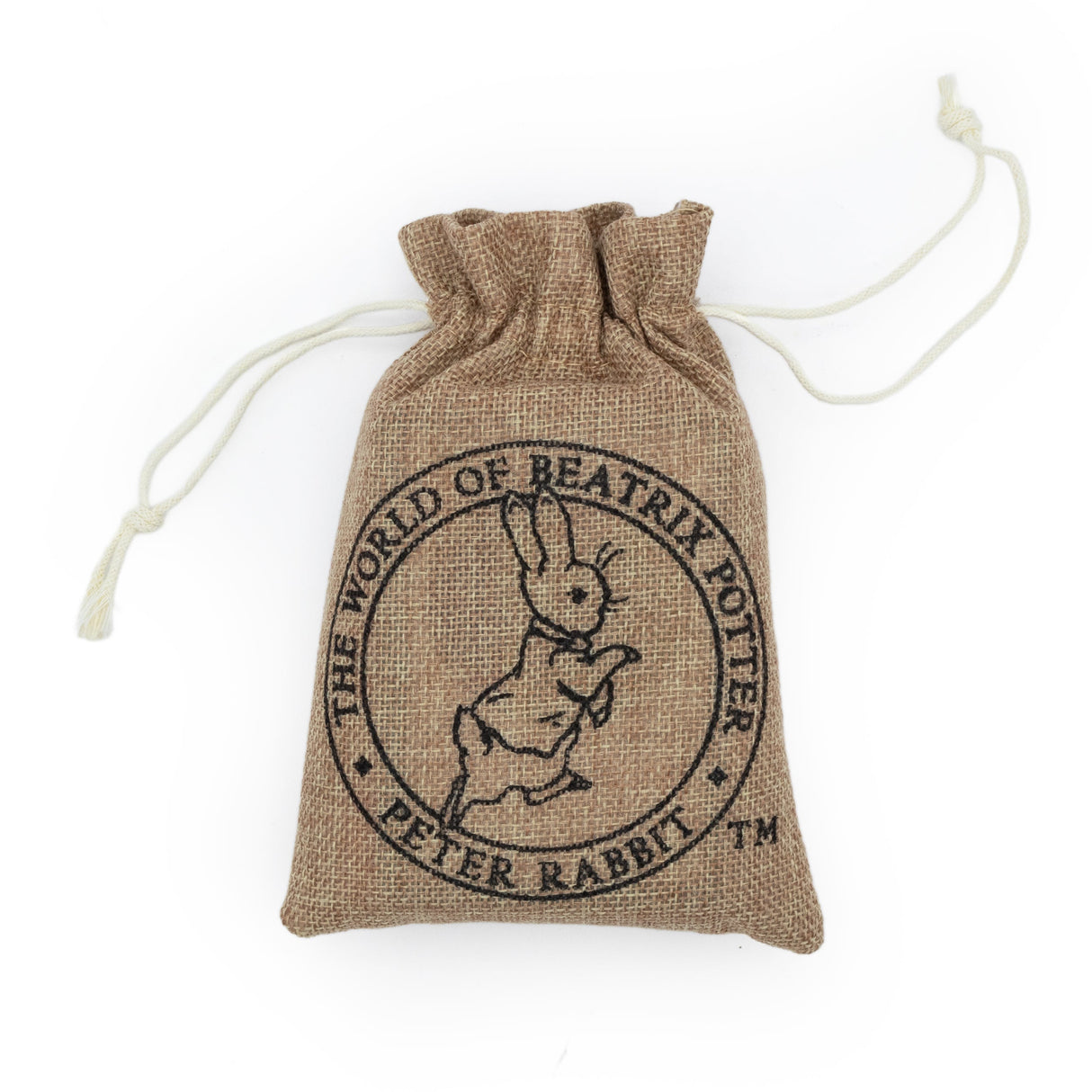 Peter Rabbit Bug Spotter Activity Set