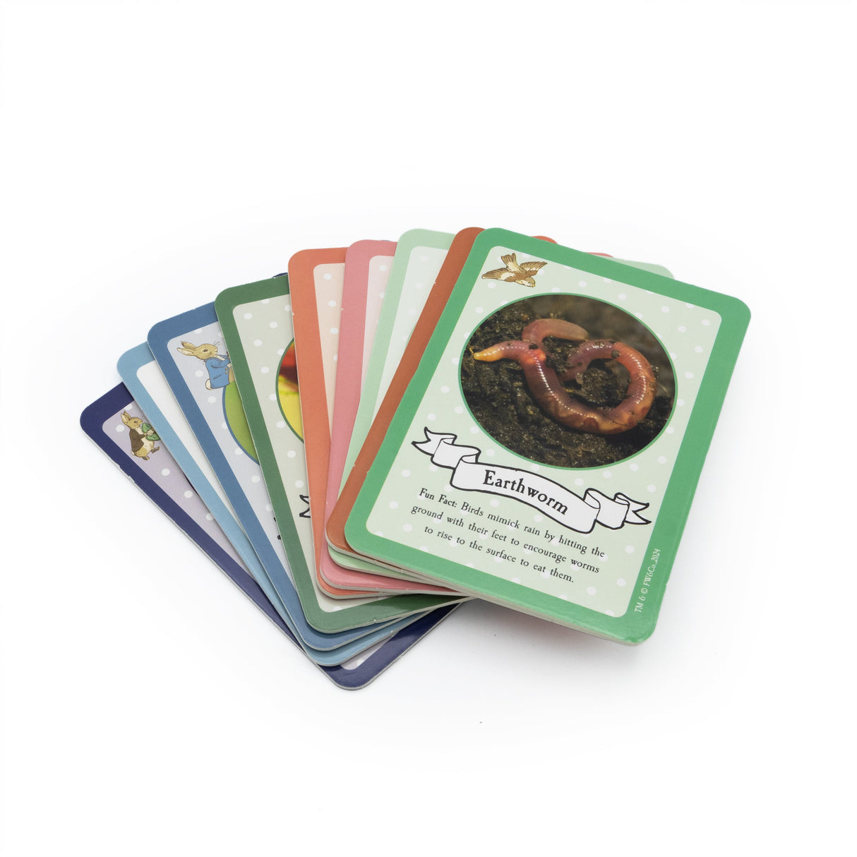 Peter Rabbit Bug Spotter Activity Set