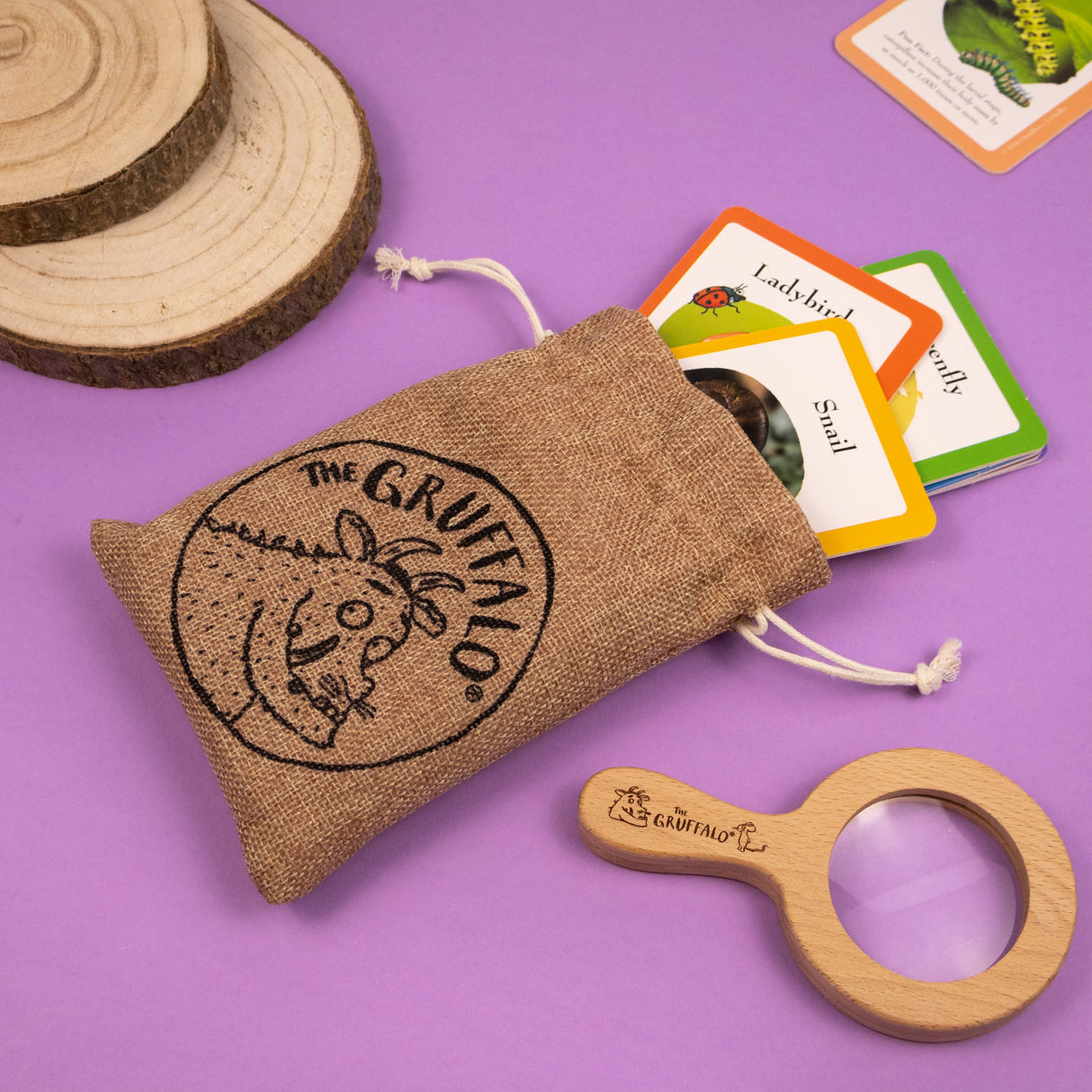 The Gruffalo Bug Spotter Activity Set