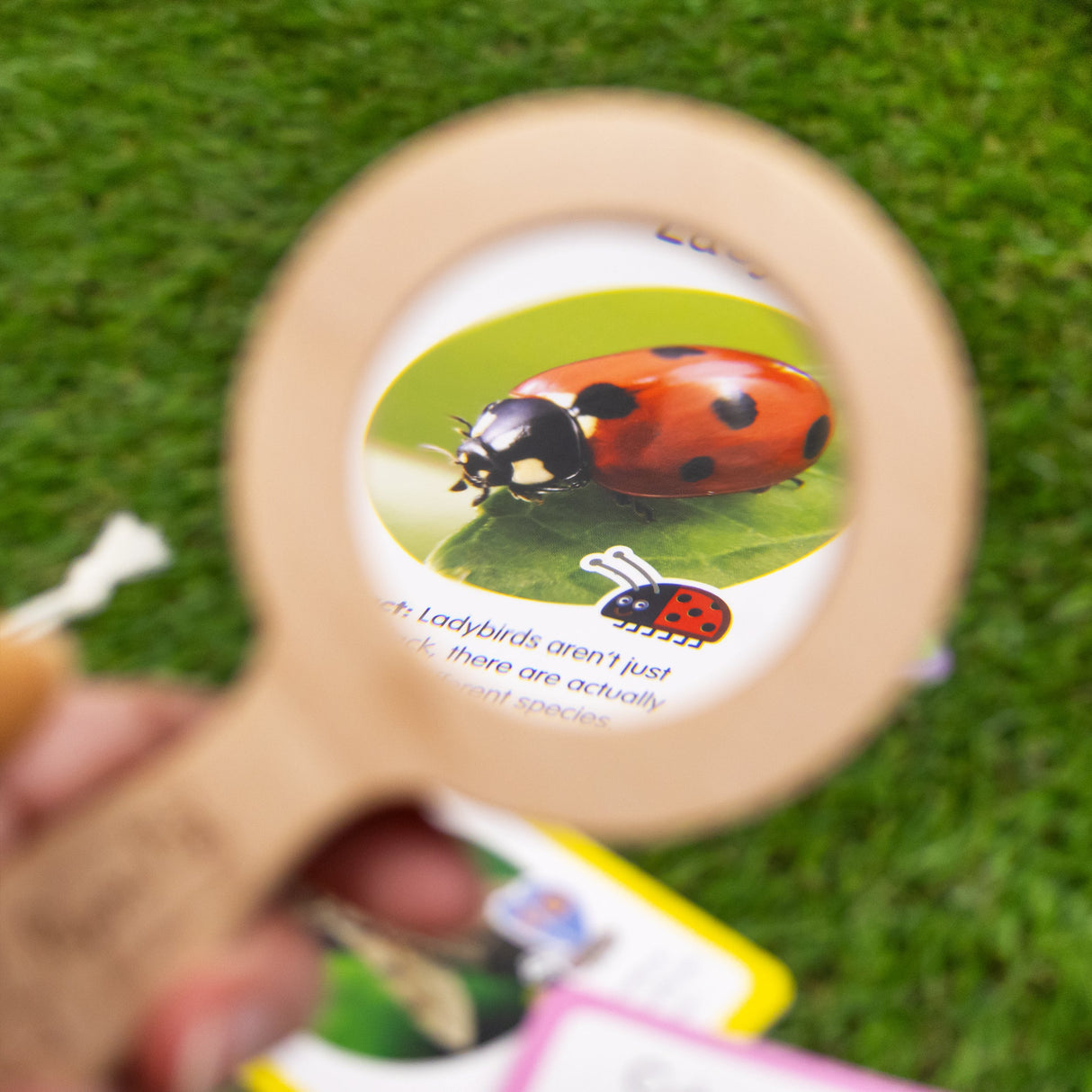 Peppa Pig Bug Spotter Activity Set