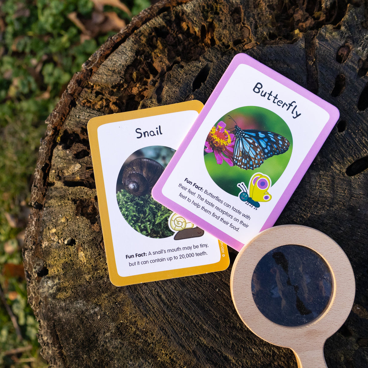 Peppa Pig Bug Spotter Activity Set