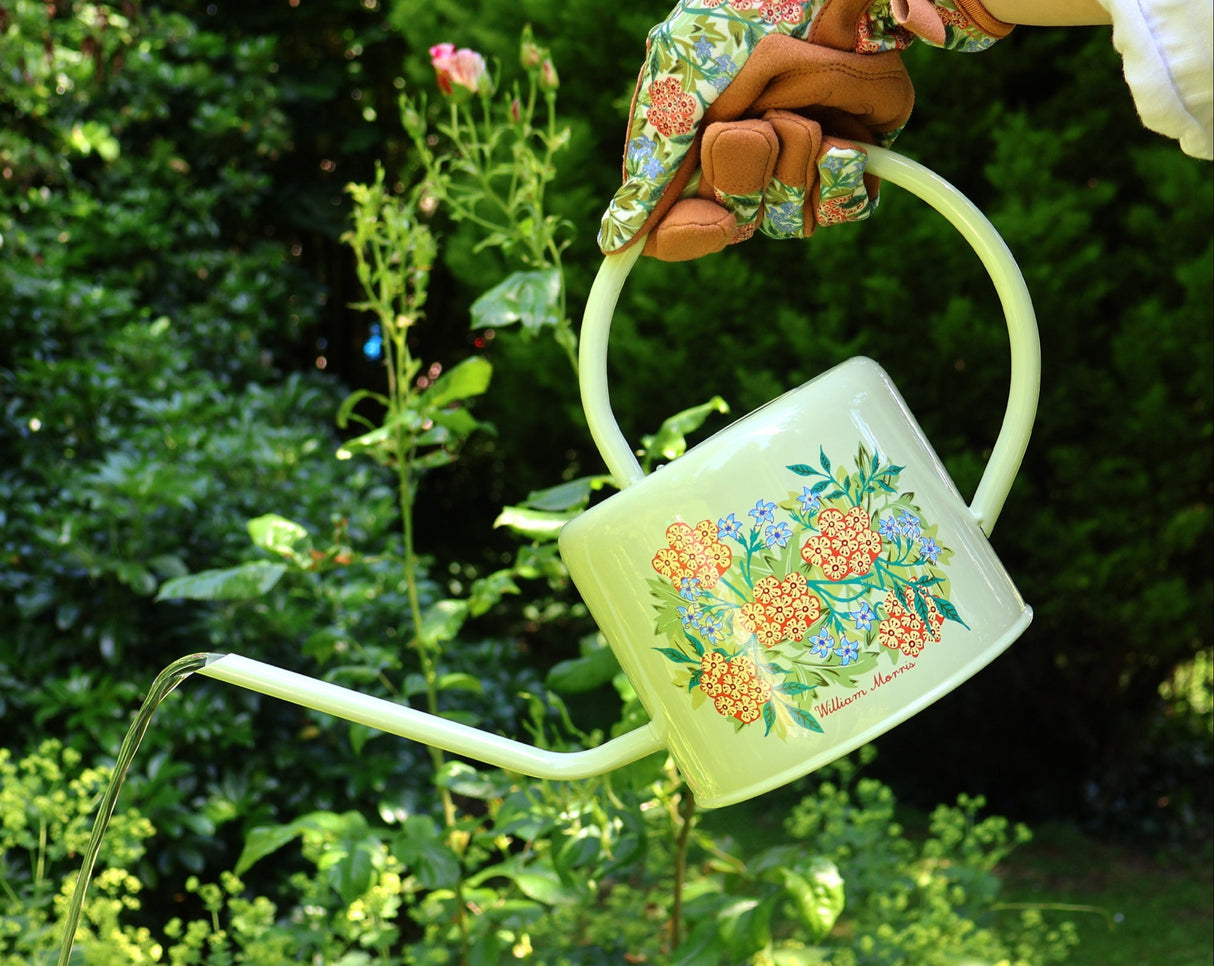 Orange Grove Watering Can – William Morris Jasmine Design