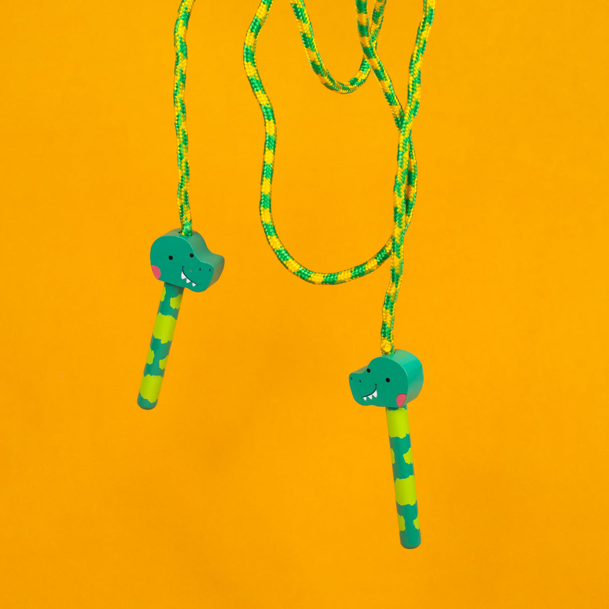 Dinosaur Skipping Rope