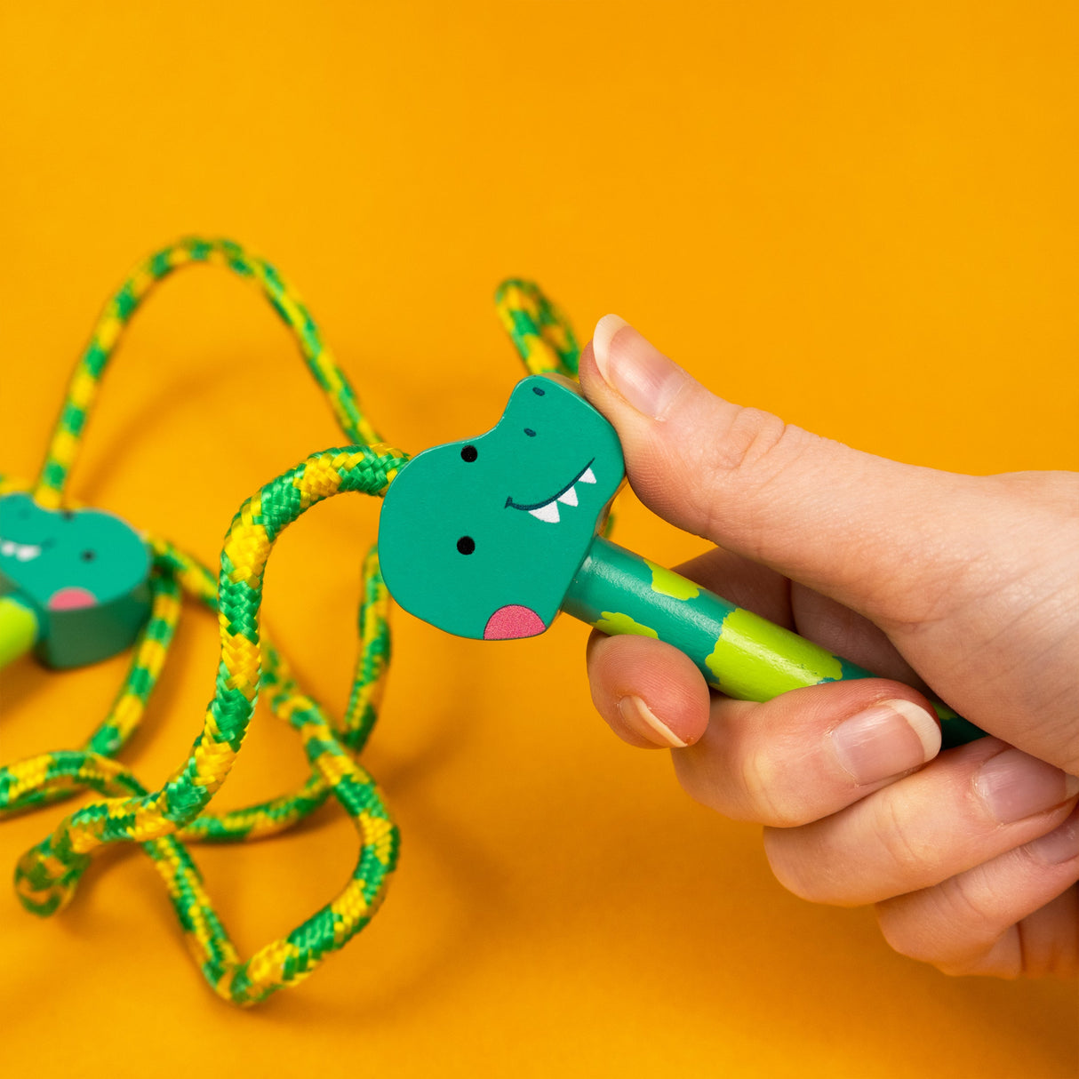 Dinosaur Skipping Rope