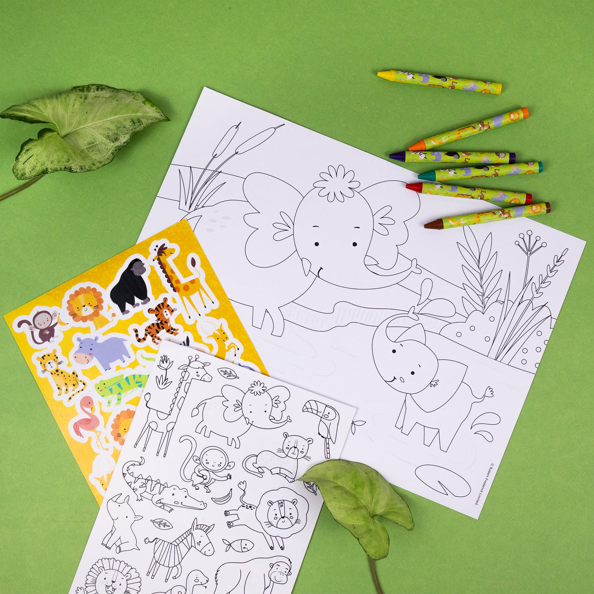 Jungle Animals Children's Colouring Set