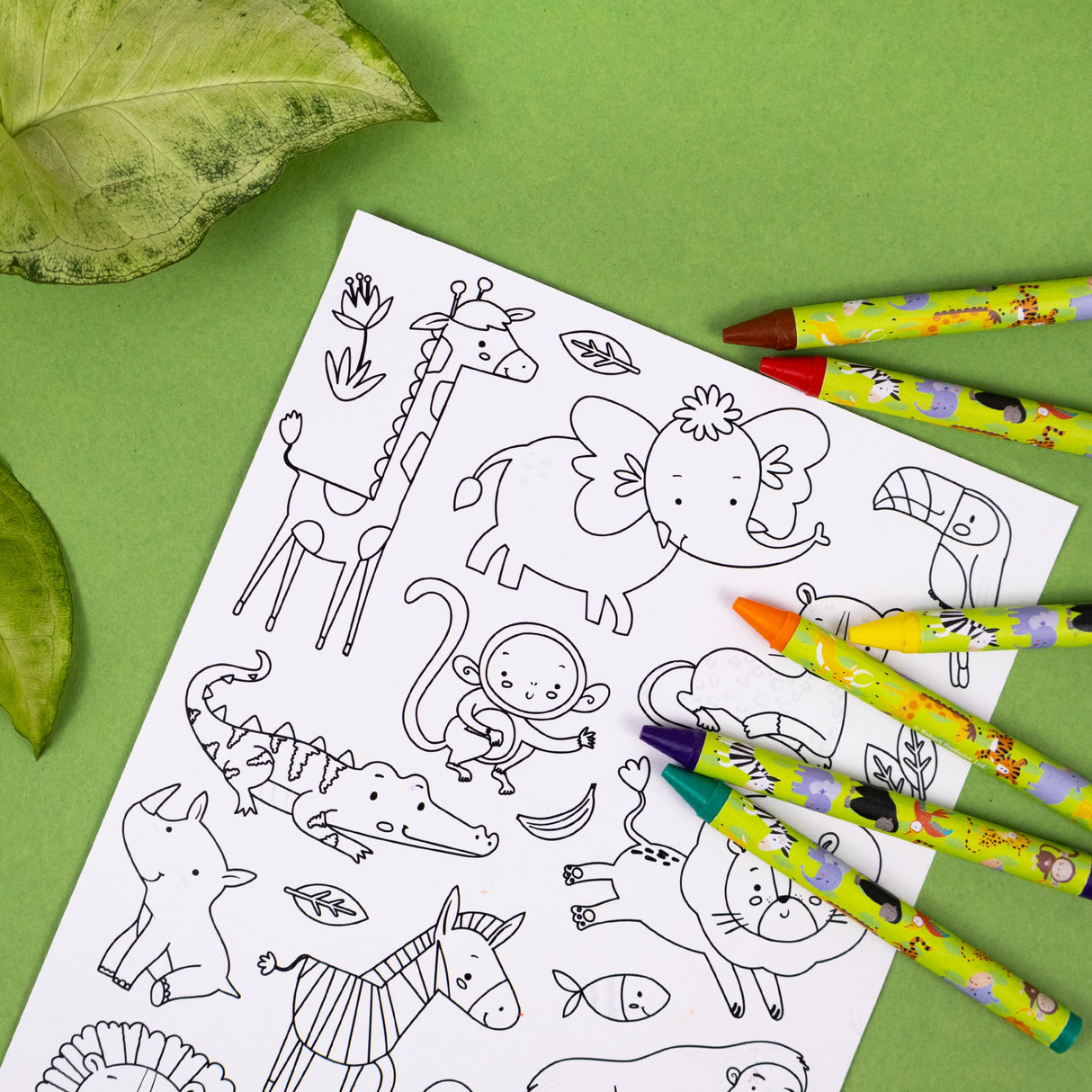 Jungle Animals Children's Colouring Set