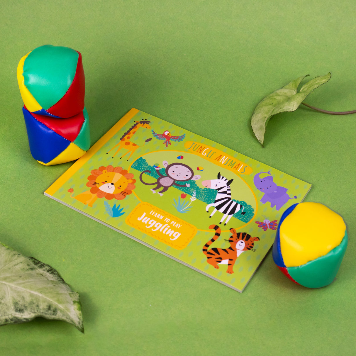 Learn To Play Juggling Set