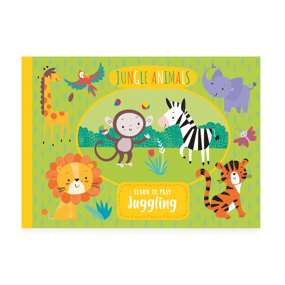 Learn To Play Juggling Set