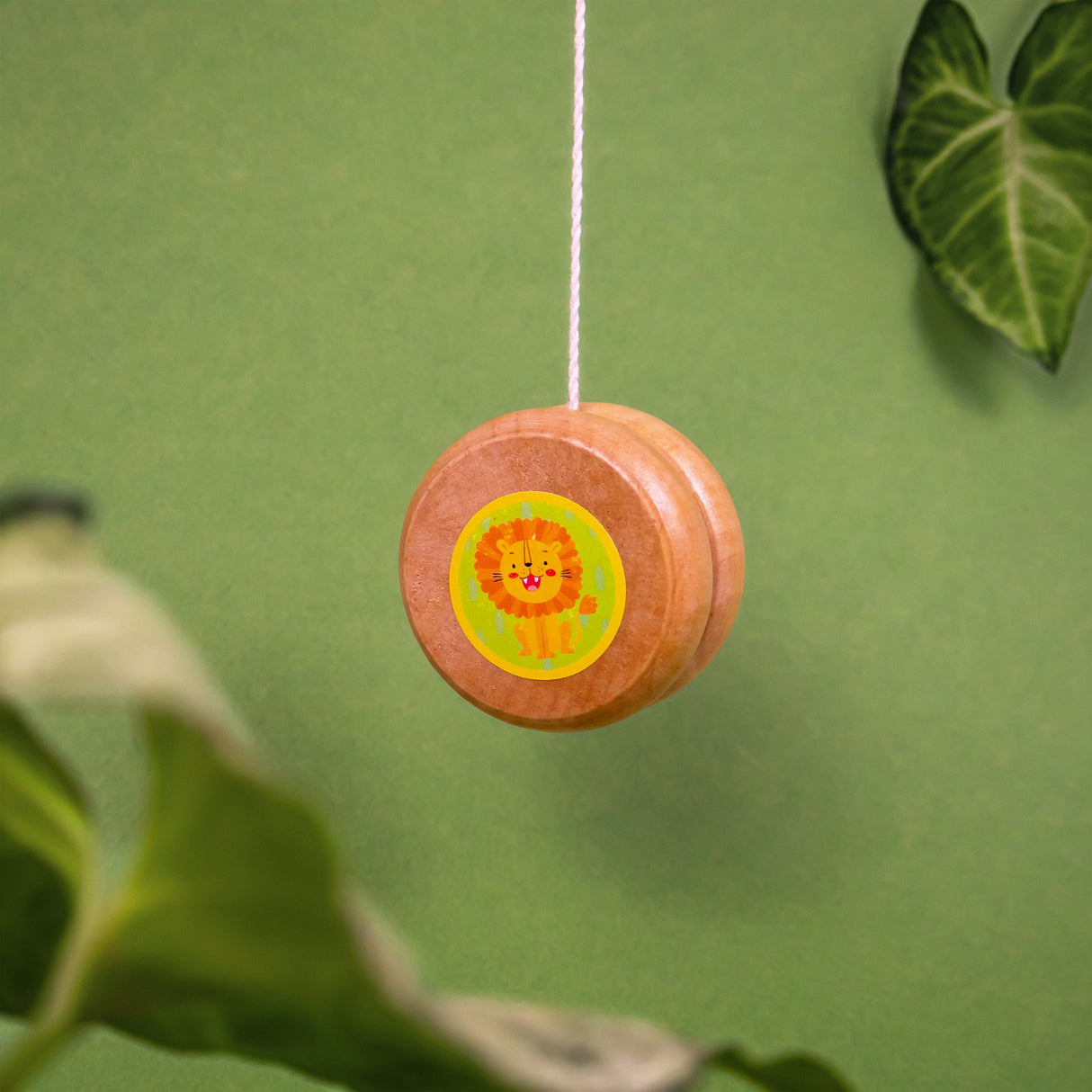 Learn To Play Yo-Yo Set