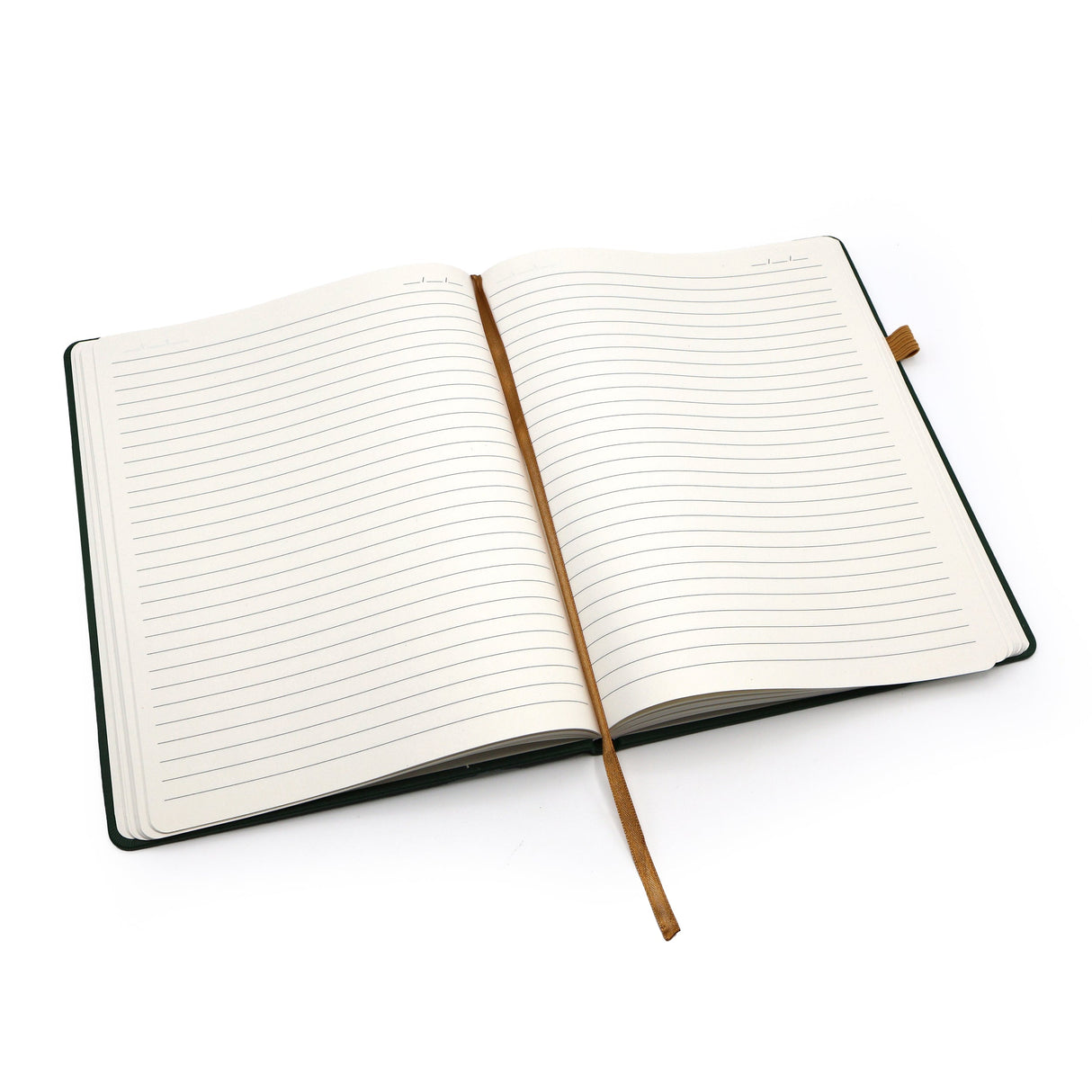 Journal Notebook - Big Ideas B5 Design