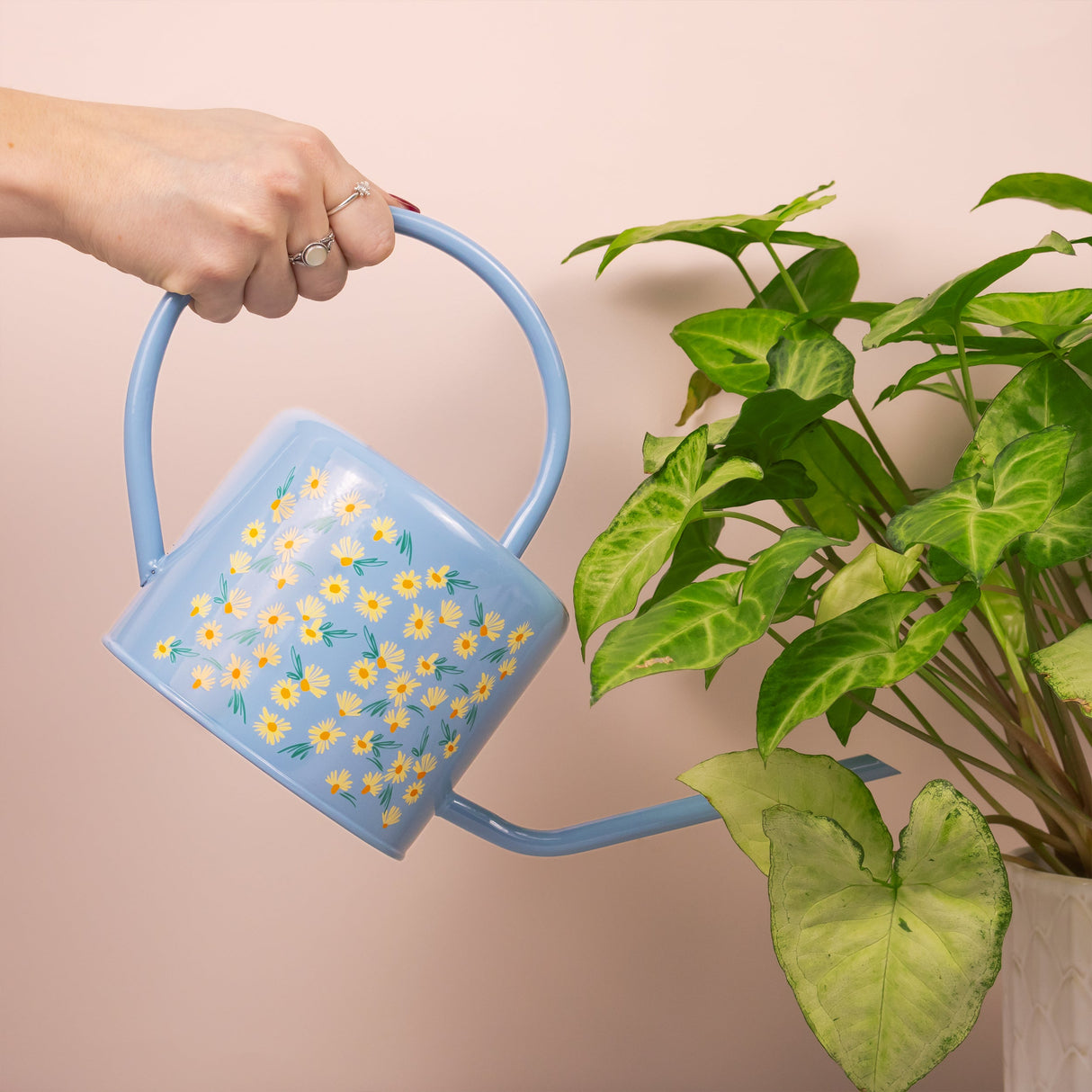 Willow and Belle Watering Can – Daisy Blue Design