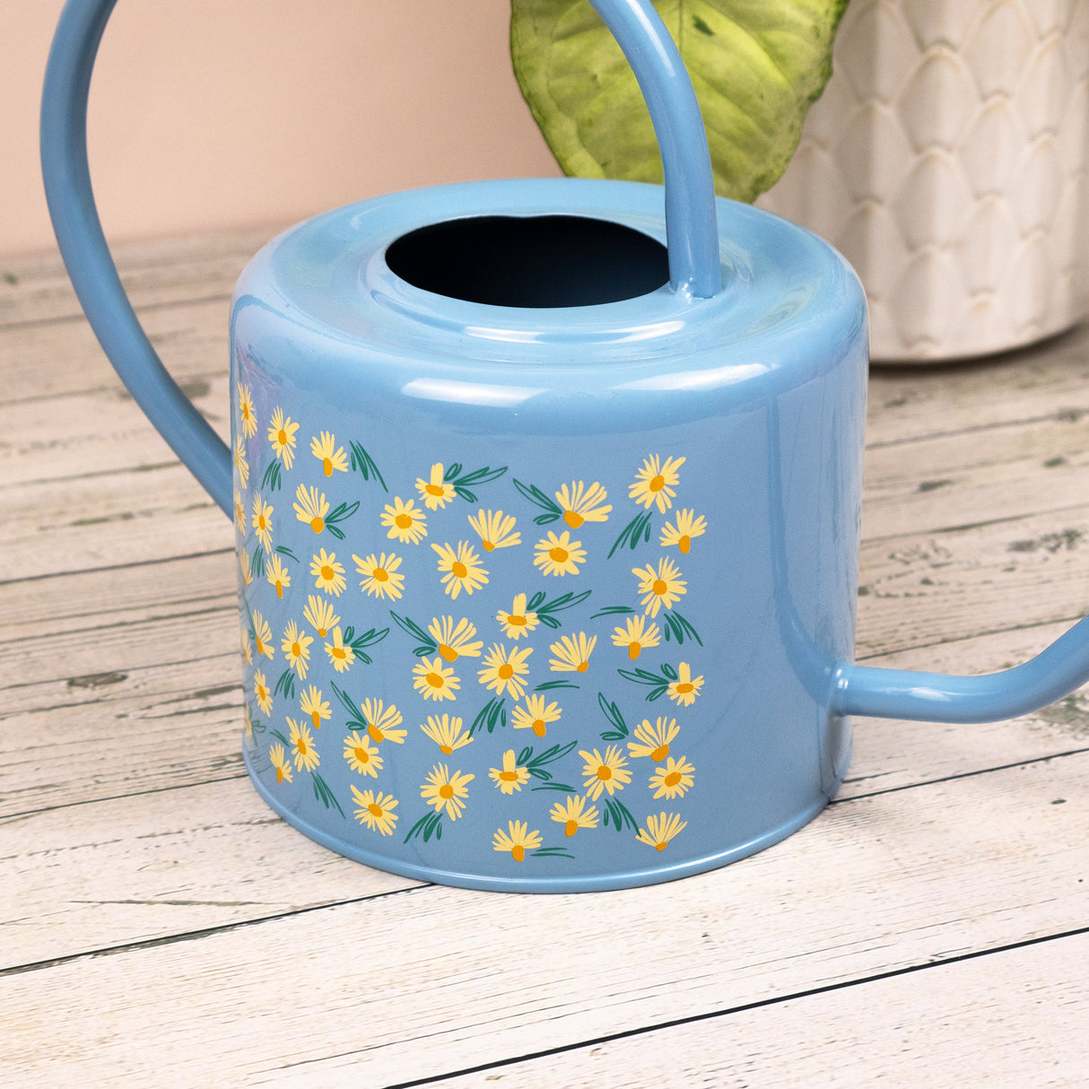 Willow and Belle Watering Can – Daisy Blue Design