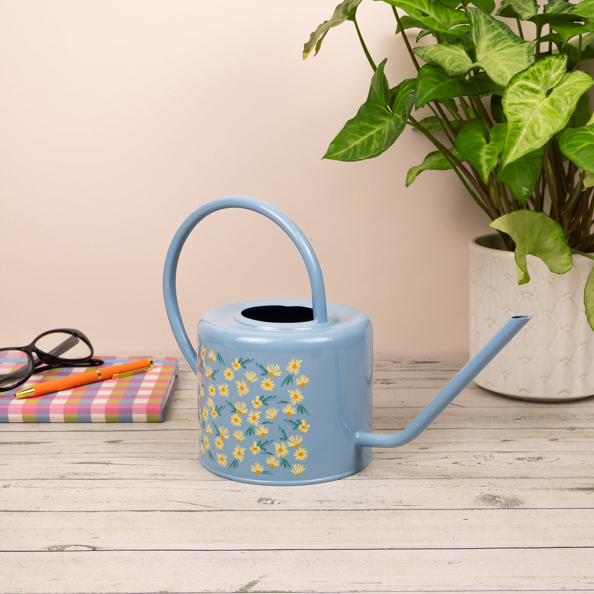Willow and Belle Watering Can – Daisy Blue Design