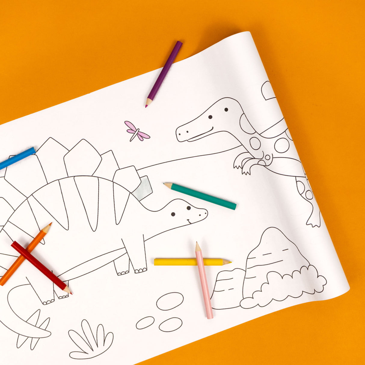 Colour Your Own 3m Dinosaur Poster