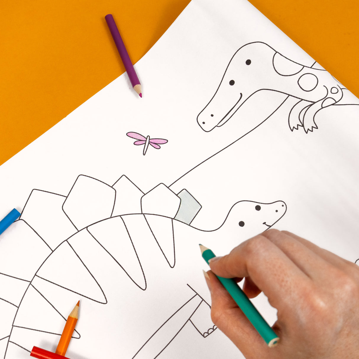 Colour Your Own 3m Dinosaur Poster