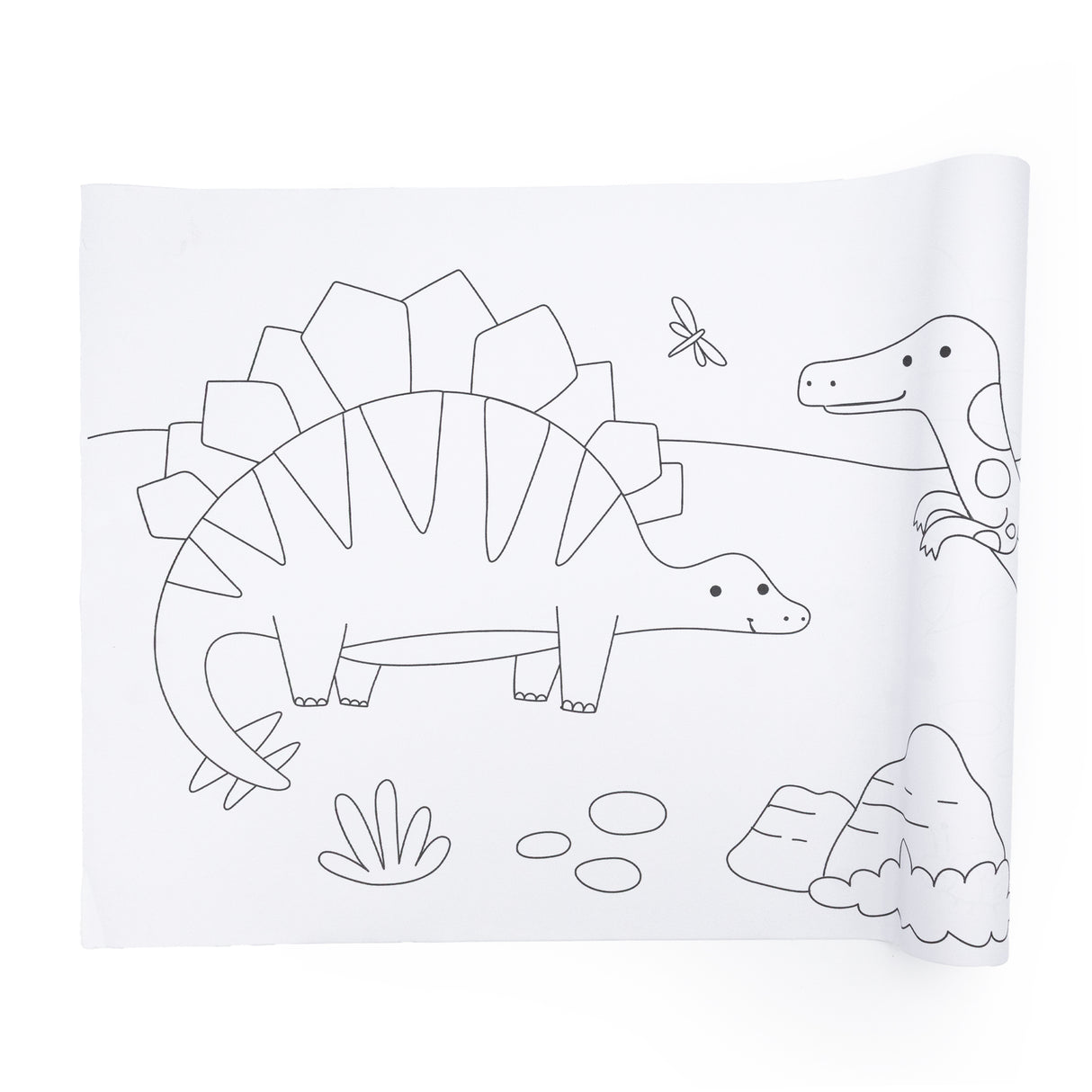 Colour Your Own 3m Dinosaur Poster