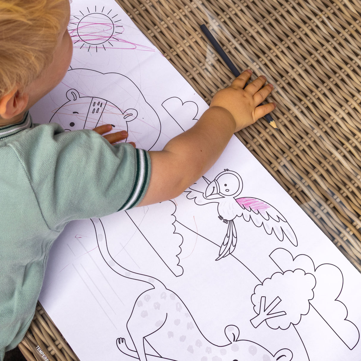 Colour Your Own 3m Jungle Animals Poster
