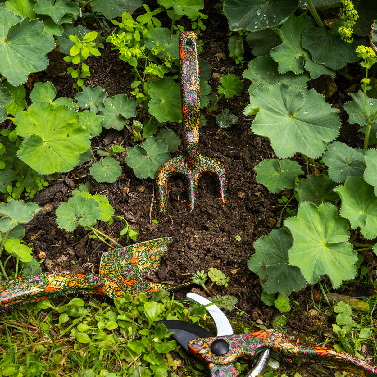 Orange Grove Fork, Trowel and Secateurs Garden Tool Set - William Morris Snakeshead Design