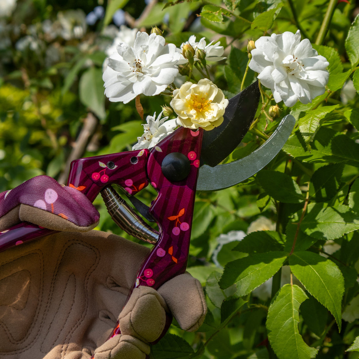Willow and Belle Secateurs With Pouch – Cherries Design