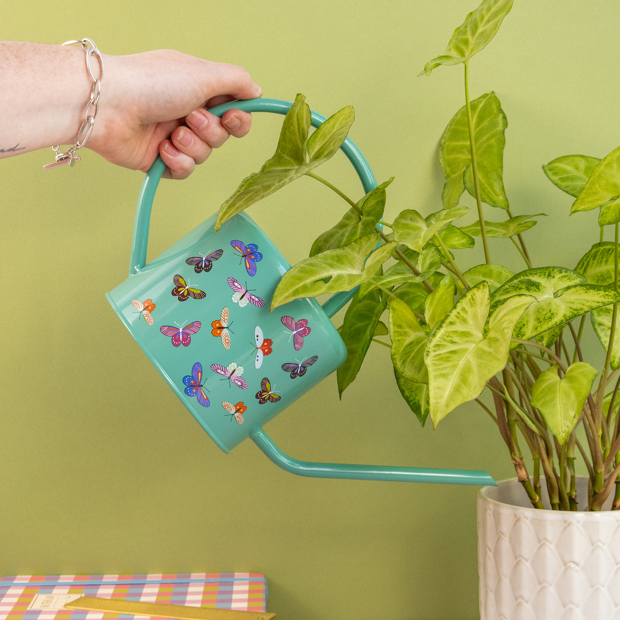 Willow and Belle Watering Can – Butterfly Design