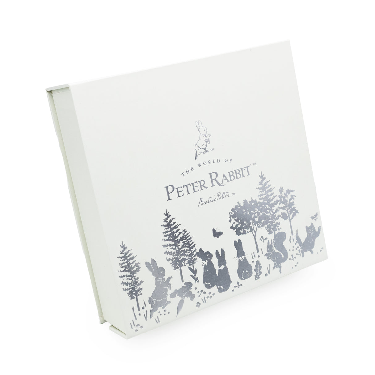 Peter Rabbit Baby Gift Box - Keepsake Frame, Milestone Cards & Handprint Kit