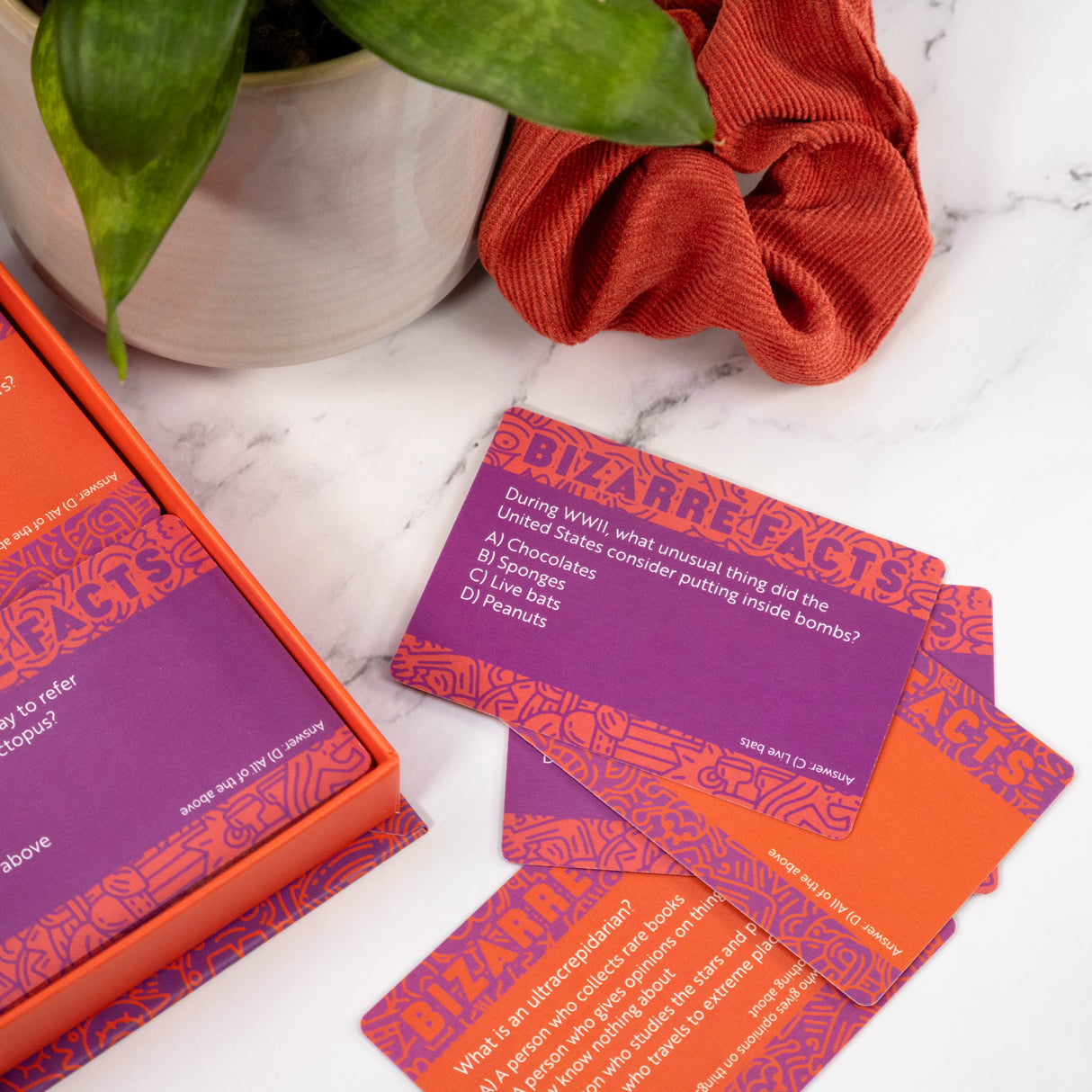 100 Trivia Cards - Bizarre Facts