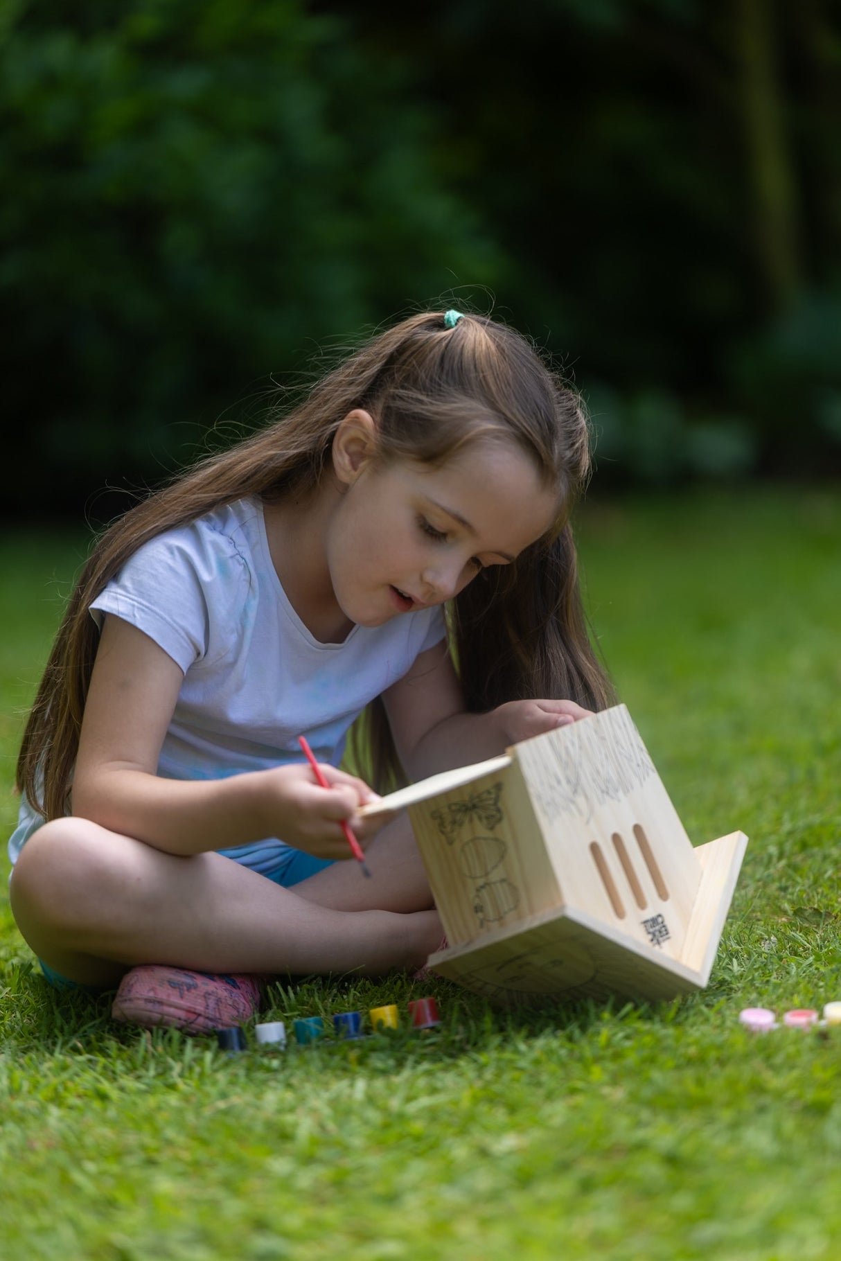The Very Hungry Caterpillar Paint Your Own Butterfly House