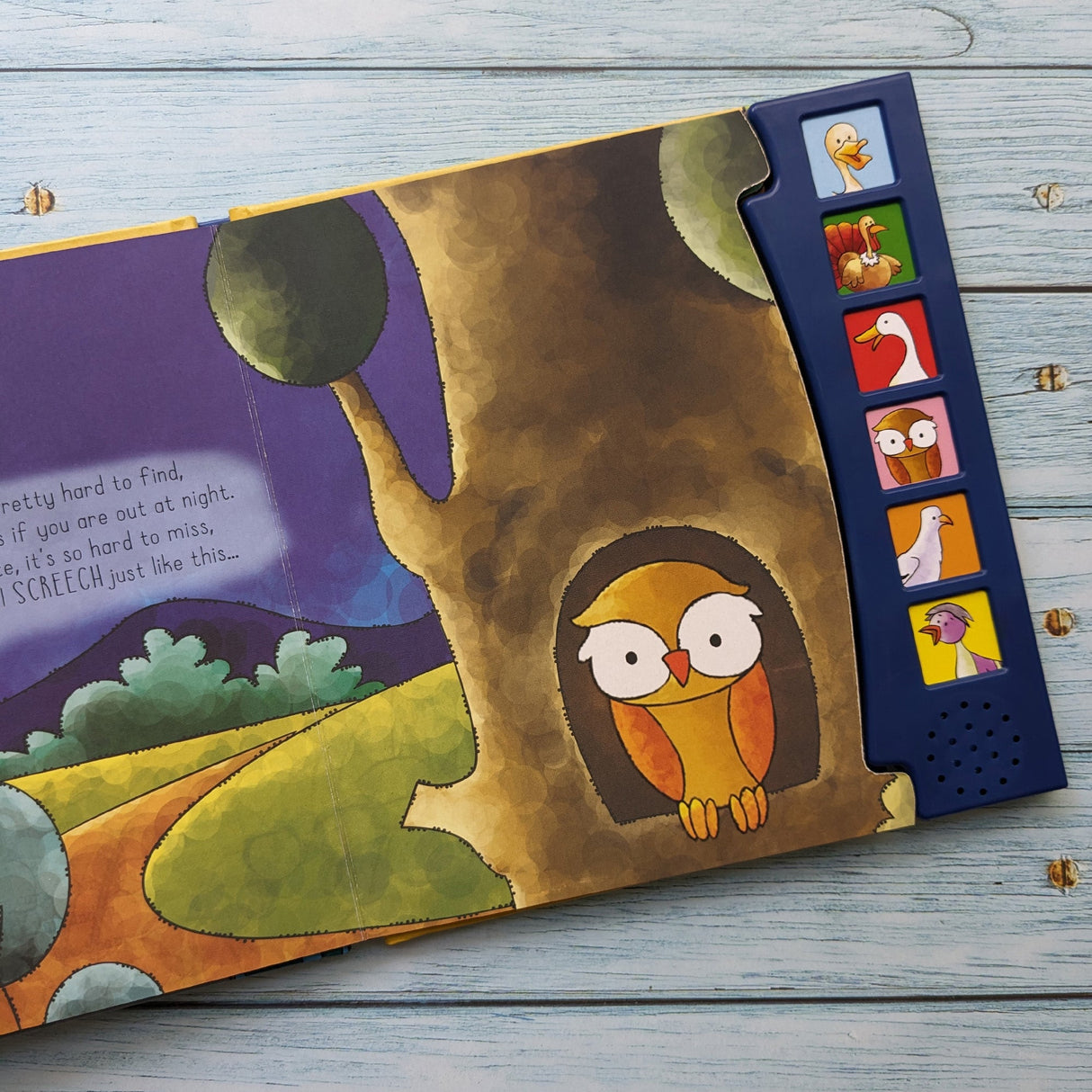 Birds – Children’s 6 Button Sound Book