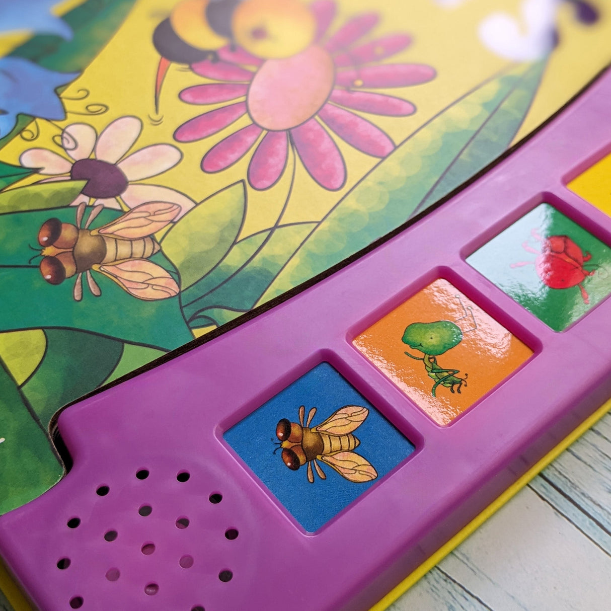 Insects – Children’s 6 Button Sound Book
