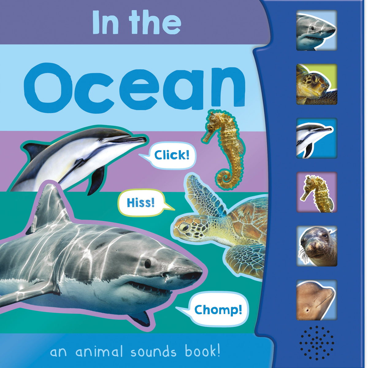 In The Ocean – Children’s 6 Button Sound Book – Robert Frederick Trade