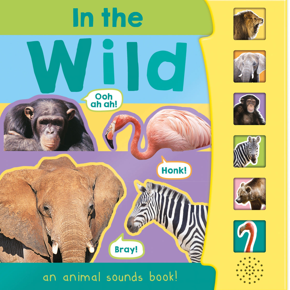 In The Wild – Children’s 6 Button Sound Book – Robert Frederick Trade