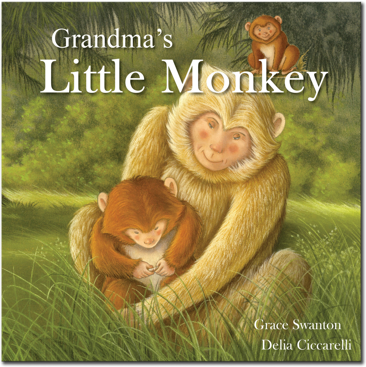 Grandma's Little Monkey - Children’s Picture Book