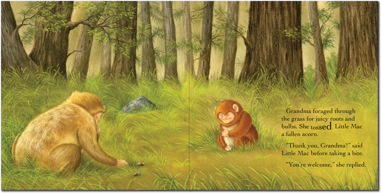 Grandma's Little Monkey - Children’s Picture Book