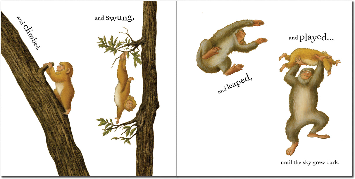 Grandpa's Little Monkey - Children’s Picture Book